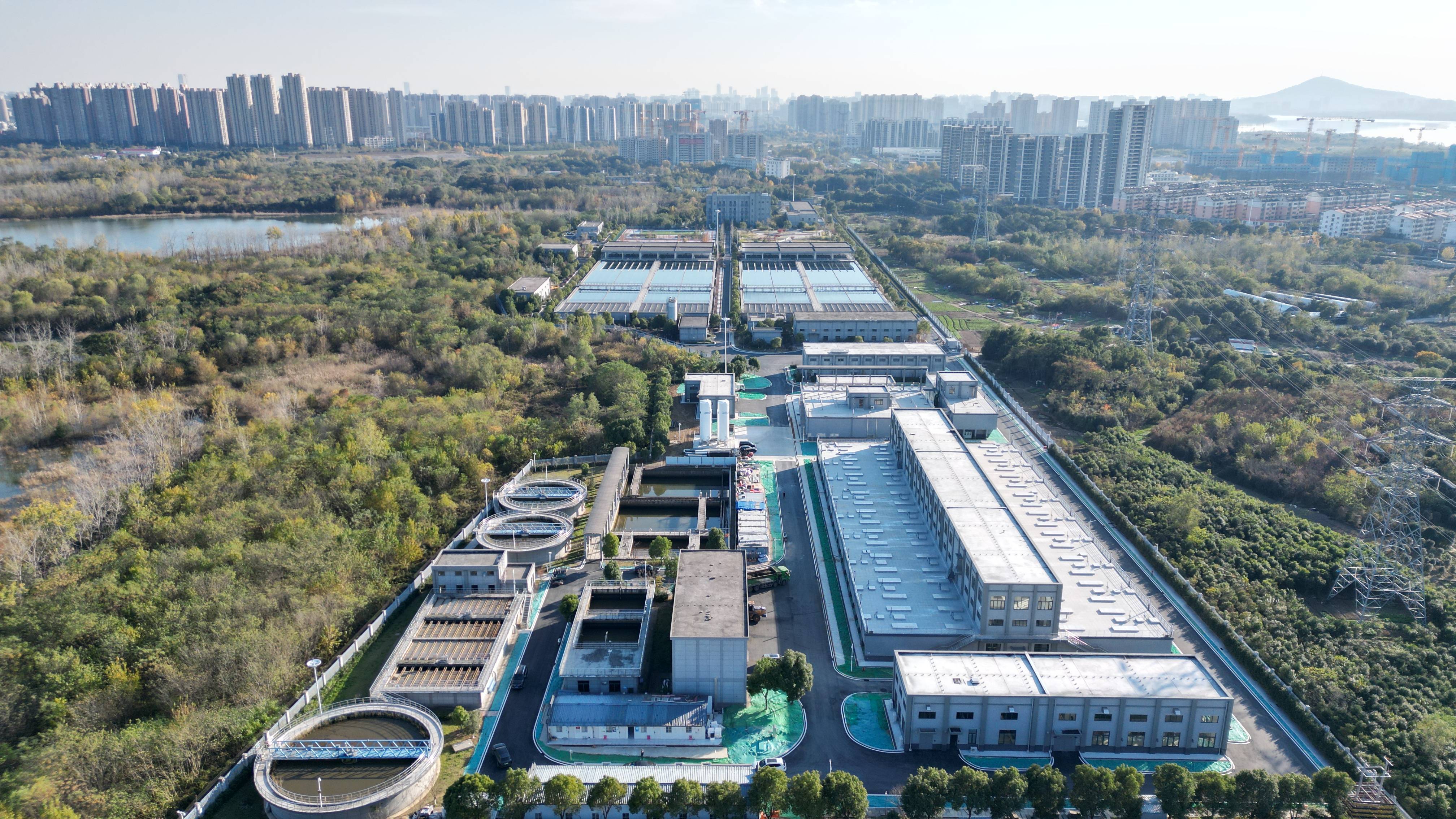 池州市合肥专业企业价值增长(合肥市重点企业产业目录)