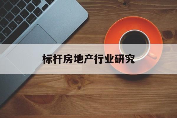 池州市标杆房地产行业研究(房地产领域的标杆人物)
