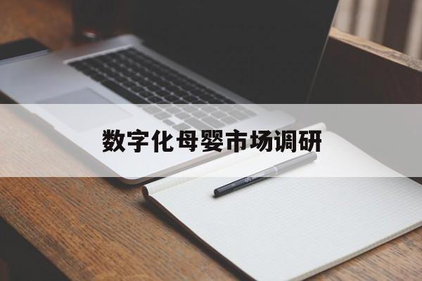 池州市数字化母婴市场调研(数字化母婴市场调研报告)