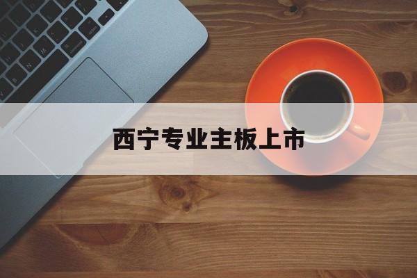 池州市西宁专业主板上市(西宁有什么上市公司)